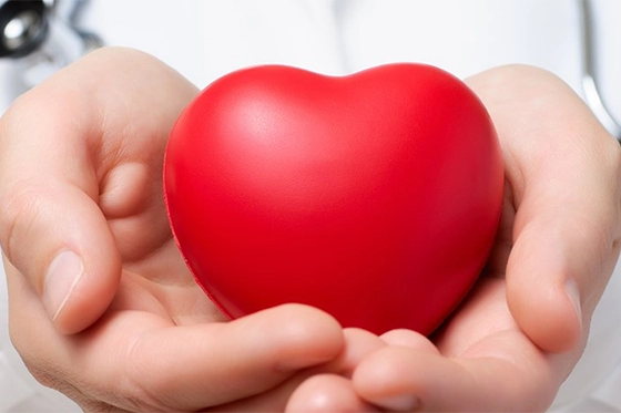 Doctor holding red heart model symbolizing cardiac care and heart health diagnostics.